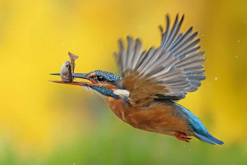 Fotos: Rainer Schaaf