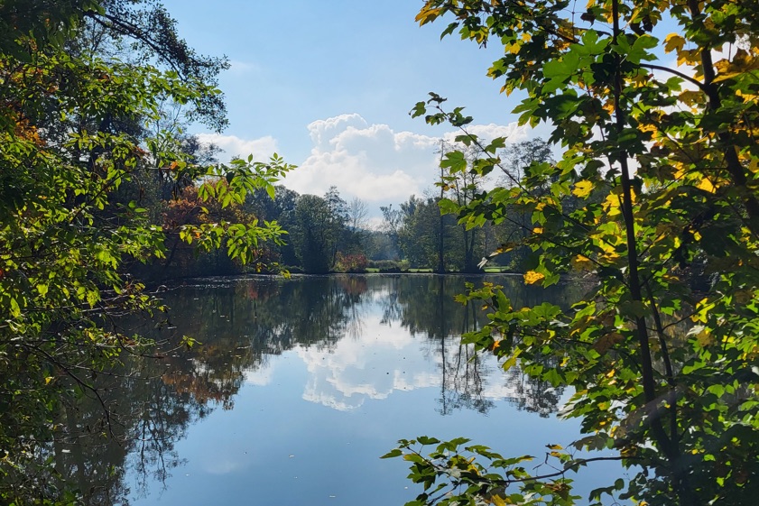 Foto: Marianne Knoll