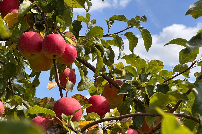 Foto: Ludwig Schrätzenstaller