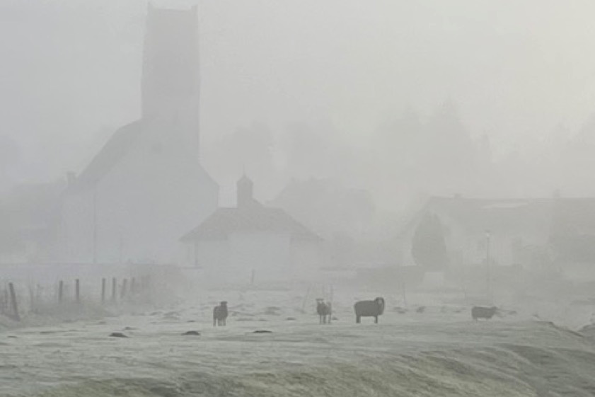 Foto: Carmen Strasser