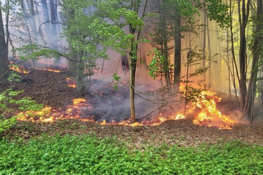 Am vergangenen Freitag war es auf einem Aussiedlerhof im Gemeinde-Gebiet von Schweitenkirchen zu einem Brand gekommen. Dabei wurden laut Polizei mehrere Gebäude und Fahrzeuge zerstört, außerdem Griffen die Flammen auf den angrenzenden Wald über. Fotos: Feuerwehr Geisenhausen, vifogra