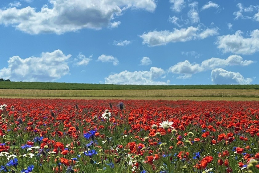 Foto: Richard Bergmoser