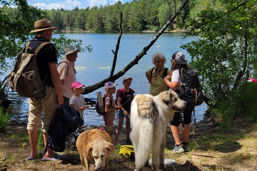 Die Sommer-Wanderung führt traditionell an den Seerosen-Weiher. Foto: BN