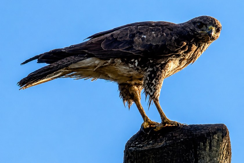 Foto: Fabian Hochleitner