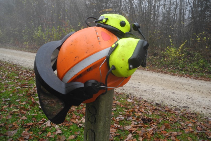 Foto: Csigo-Polz / AELF Ingolstadt-Pfaffenhofen