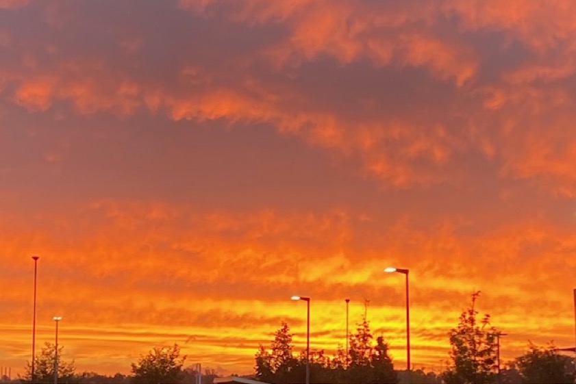 Foto: Antje Hertig